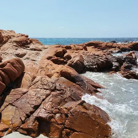 Lilas Porto-Vecchio (Corsica)