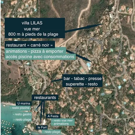Lilas Porto-Vecchio (Corsica)