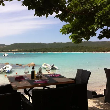 Lilas * Porto-Vecchio (Corsica)